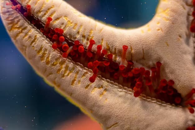 Tissue Repair and Recovery